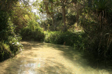 Eli Creek, Fraser Island