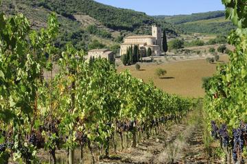 Montalcino, Tuscany