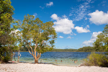 Lake Birrabeen, Fraser Island