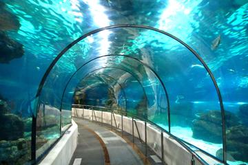 Aquarium San Sebastian, San Sebastian, Spain