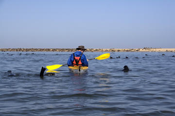 Pelican Point, Namibia