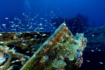 Antilla Shipwreck, Aruba