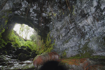 Kaumana Caves, Big Island of Hawaii