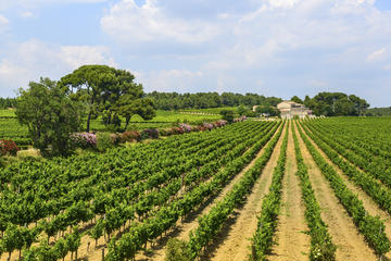 Cabardès Wine Region, Midi-Pyrénées, France