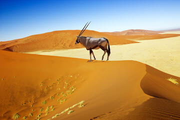 Sossusvlei, Namibia