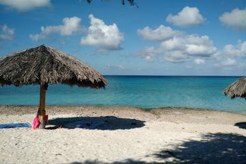 Malmok Beach, Aruba