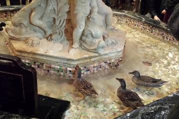 Peabody Hotel Ducks, Tennessee