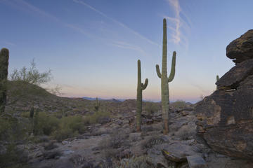 South Mountain Park, Phoenix Tours, Travel & Activities