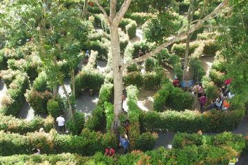A-Maze Garden, Phuket