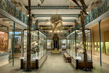 Museum of Natural History, Lille, France