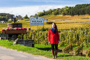 Route des Grands Crus, Burgundy, France