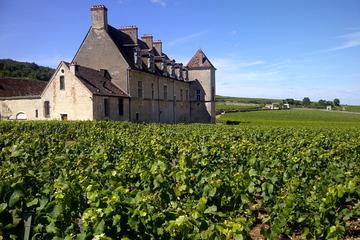 Clos de Vougeot, Burgundy, France