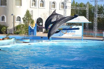 Dolphina Park, Sharm el Sheikh