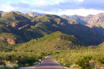 Sabino Canyon, Arizona