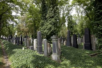 Novo Cemit&eacute;rio Judeu de Praga