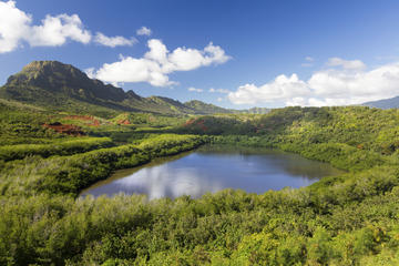 Menehune Fish Pond