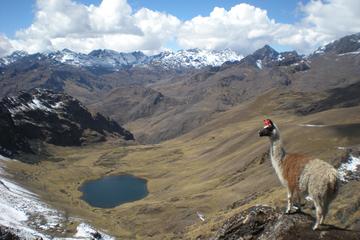 Lares Trek, Cusco, Peru