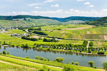 Moselle Valley, Germany Tours