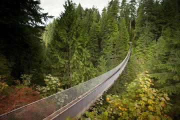 Capilano Suspension Bridge Park, British Columbia