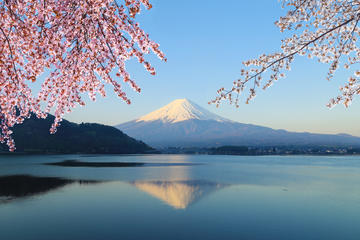 Image result for mt fuji