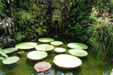Jardim Botânico La Mortella