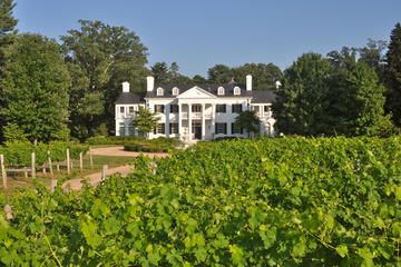 Keswick Vineyards, Virginia