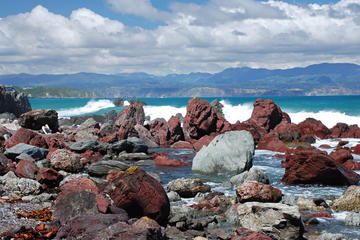 Red Rocks Reserve, Wellington