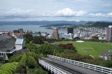 Mount Victoria Lookout, Wellington
