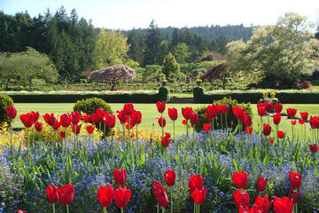 Butchart Gardens, British Columbia