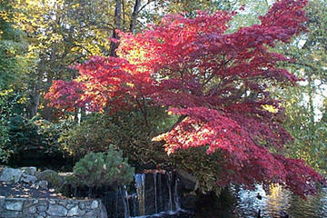 Victoria Beacon Hill Park, British Columbia