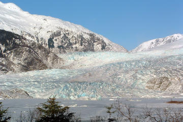 Mendenhall Glacier, Juneau