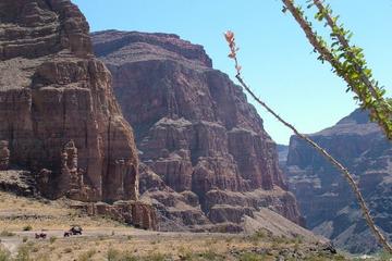 Borda Norte do Grand Canyon