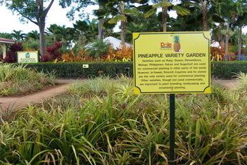 Dole Plantation, Hawaii