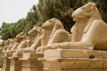 Avenue of Sphinxes, Luxor
