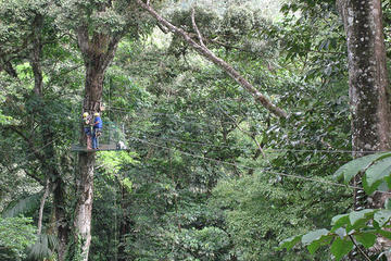 Sarapiqui Canopy, Costa Rica