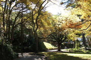 Wellington Botanic Garden, Wellington