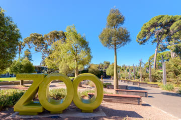 Adelaide Zoo, Adelaide