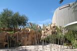 Las Vegas Springs Preserve