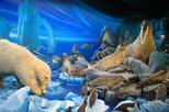 Museum of Natural History (Muséum d'Histoire Naturelle de Suisse)