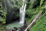 Aling-Aling Waterfalls (Air Terjun Aling-Aling)