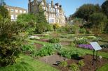 Chelsea Physic Garden