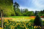 Longwood Gardens