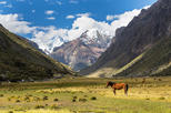 Mt. Alpamayo