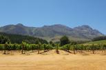 Delheim Wine Estate