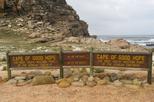 Cape of Good Hope Nature Reserve