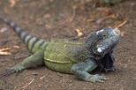 Christoffel National Park