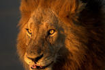 Kruger National Park