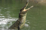 Hartley's Crocodile Adventures