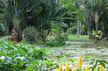 Rio de Janeiro Botanical Garden (Jardim Botanico)