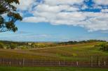 McLaren Vale
